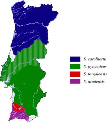 Figure 1.2: Geographical distribution of non-hybrid Squalius in Portuguese territory.