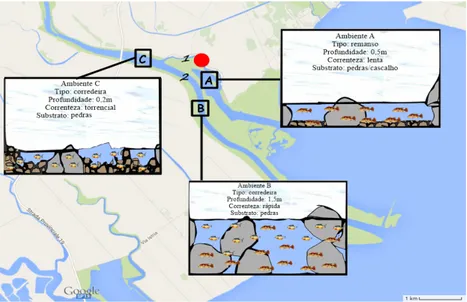 Figura 3: Ilustração de distintos ecossistemas e variada distribuição de espécies de peixes em um  mesmo trecho de rio
