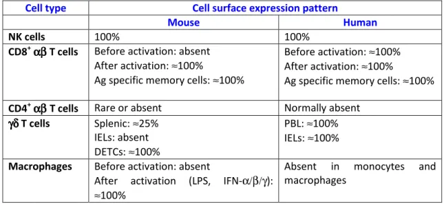 Table 3 - Expression of NKG2D by immune cells. Adapted from Raulet 2003 186 Cell type  Cell surface expression pattern 