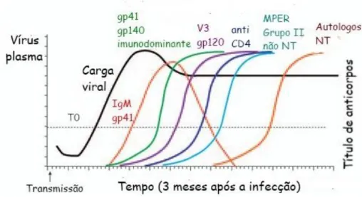 Figura  6.  Cinética  da  resposta  humoral  na  fase  aguda  da  infecção  pelo  VIH  quanto  à  evolução  da  carga  viral,  anticorpos  não  neutralizante  e  anticorpos  neutralizantes  (Adaptado  da  referência  [73])
