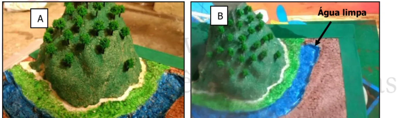 Figura 3 – Maquetes utilizadas para representar a encosta com vegetação, antes da chuva (A) e  depois da chuva (B).