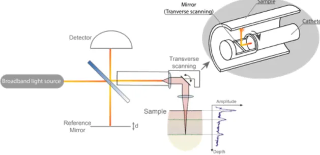 Figure 1.3: Depiction of the basic interferometric OCT setup. Catheter scheme and positioning within a sample