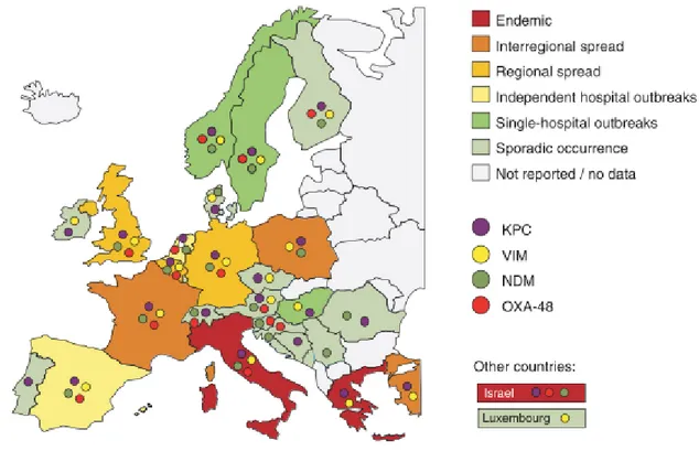 Figura 2: Epidemiologia das Enterobacteriaceae produtoras de carbapenemases na Europa, de acordo com a  epidemiologia nacional de cada país e com o tipo de carbapenemase encontrada, até Janeiro de 2012