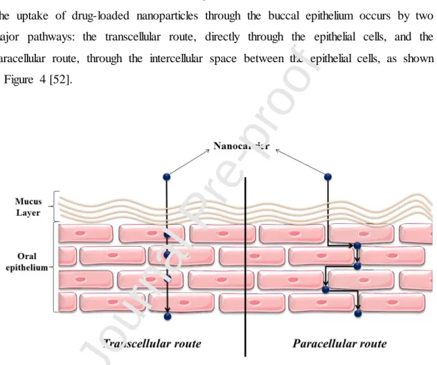Figure 4. Routes of drug-loaded nanoparticle uptake through the buccal mucosa. 
