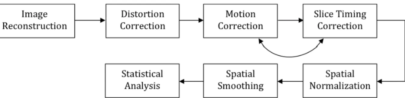 Figure 2.1 - Schematics of the fMRI preprocessing pipeline 
