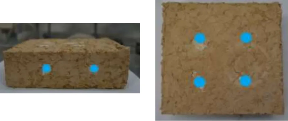 Figure 7 - Blocks pre-conditioning for the moisture buffering test. 