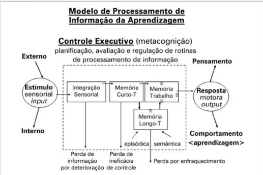 Figura 6. Modelo do Processamento da Informação da Aprendizagem. Fonte: 