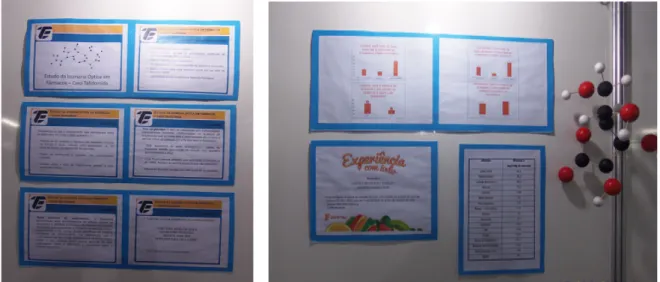 Figura 10: Exposição dos resultados da pesquisa sobre a talidomida e vitamina C 