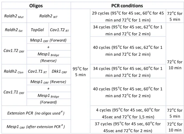 Table 2 – PCR conditions 