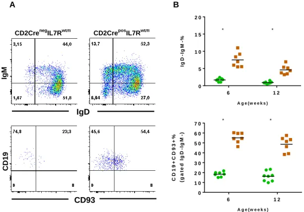 Figure  9  -  B-lineage  cells  analysis  from  blood  samples.  A)  Dot  plots  show  analysis  of  representative  controls and CD2Cre pos IL7R wt/fl  animals at 12 weeks of age
