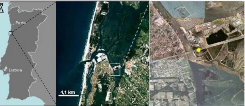 Figura 2.1 - Mapa de Portugal, fotos satélite e fotos aéreas da área de estudo das AEE do IP5, com 