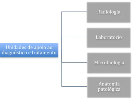 Figura 1. Unidades de apoio ao diagnóstico e tratamento 