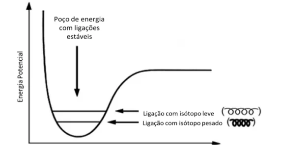 Figura 7 - Poço de Energia Potencial para ligações estáveis com isótopos leves e isótopos pesados (adaptado de Fry, 2006).