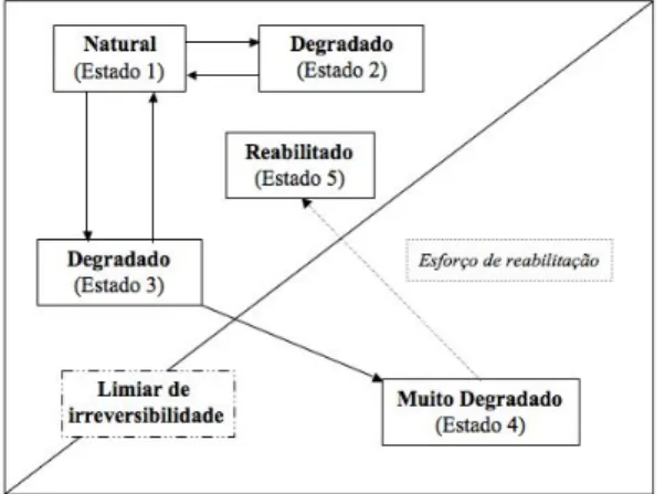 Figura  2  –  Modelo  para  a  transição  entre  estados  de  um  ecossistema  hipotético  (adaptado de Walker &amp; Moral 2003)