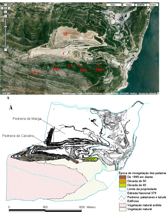 Figura 6 – Área de estudo: Pedreira da SECIL, Outão. A - vista aérea (exploração de  marga  assinalada  por  M  e  a  de  calcário  por  C;  locais  de  amostragem  nesta  última  indicados com o respectivo código; fonte: http://maps.google.com); B – mapa