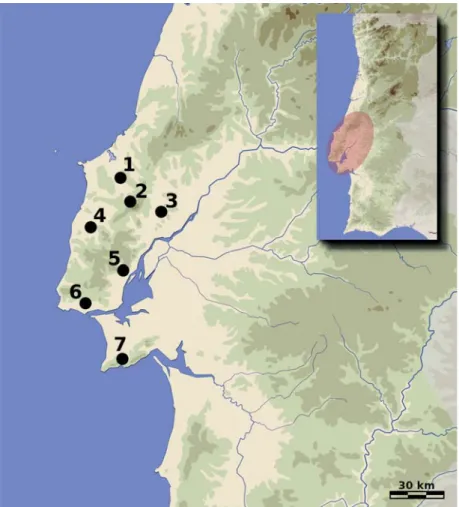 Fig. 1 – Localização dos principais sítios calcolíticos da Estremadura com espólios metálicos já estudados