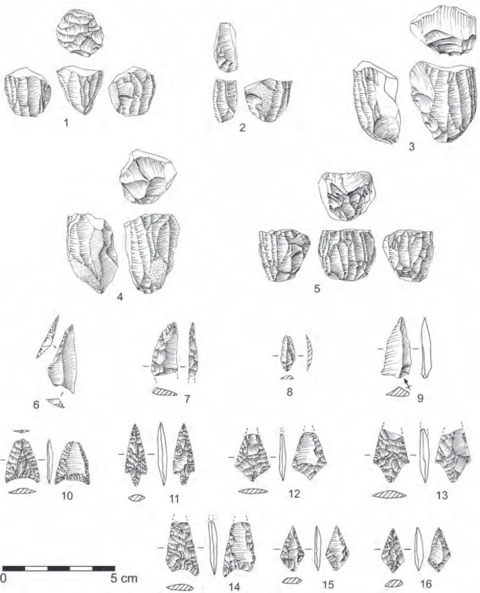 Fig.  12 – Anta das Pedras da Granja. Núcleos (1-5); Geométricos (6-7); Lamela (8); Geométrico? (9); Pontas de seta (10-16)