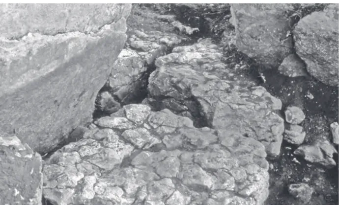 Fig.  5  –    Anta  das  Pedras  da  Granja.  Vista  de  sul  para  os  esteios  D  (quebrado),  E  e  A,  notando-se  o  afloramento  em  primeiro  plano (Arquivo de O