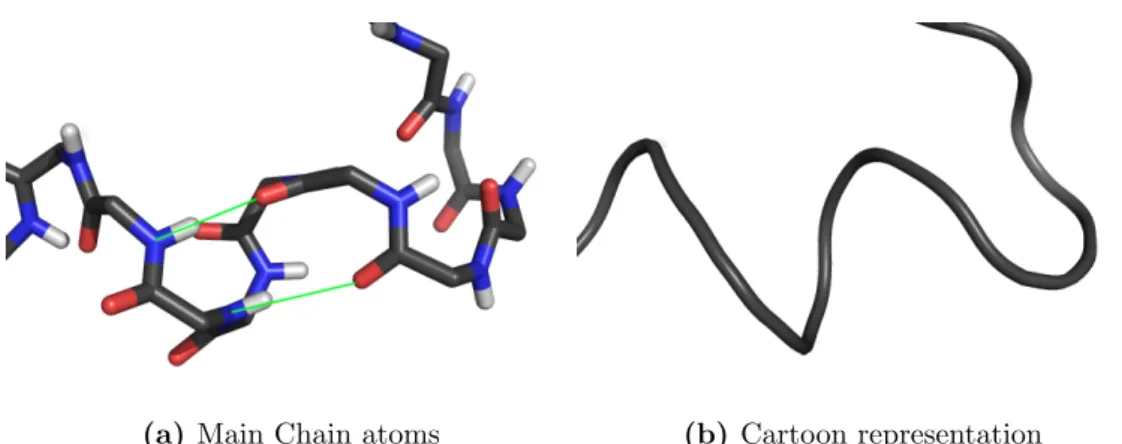 Figure 3.5: Structural detail of two short range contacts ( ) which are not considered as a part of a helix.