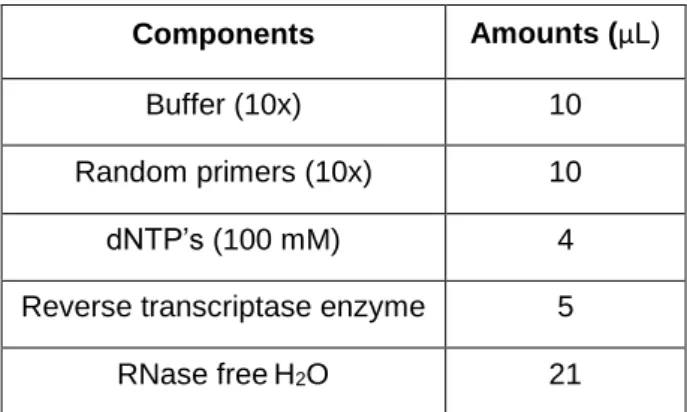 Table 2.2 – Components of conversion mix and respective amounts (μ L)  Components  Amounts (μL) 