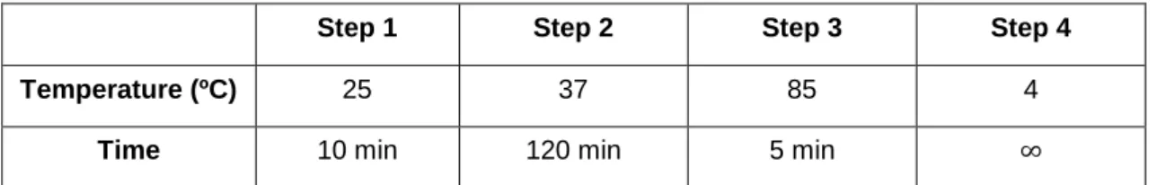 Table 2.4 – Settings of the used program to RT-PCR assay  