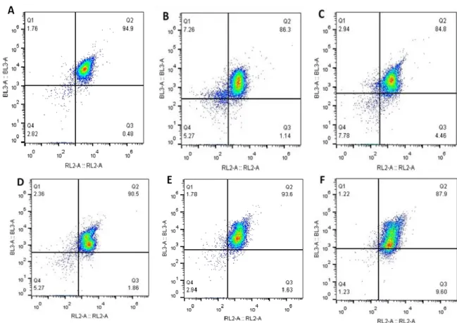 Figure 3.2 - Percentage of CD8 +  T cells isolated from each from donors A,B,C,D,E and F