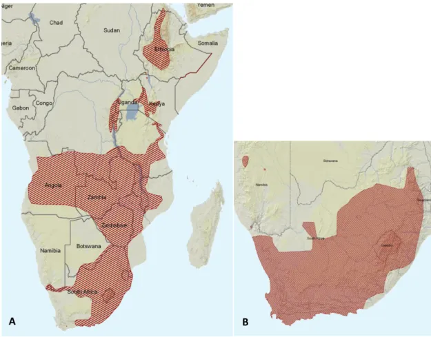 Figure  1  Currently  known  range  of A.  angolensis  (A)  and A.  fuscigula  (B).  Source:  Poynton  et  al.,  2011;  Minter  &amp; 