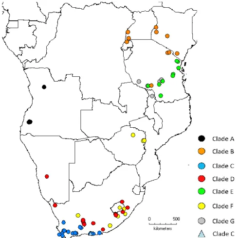 Figure 2 Map representing the collecting localities of the genetically and not genetically analysed specimens of each  clade, with circles, and of the recording locality of the advertisement call with no voucher, with a triangle
