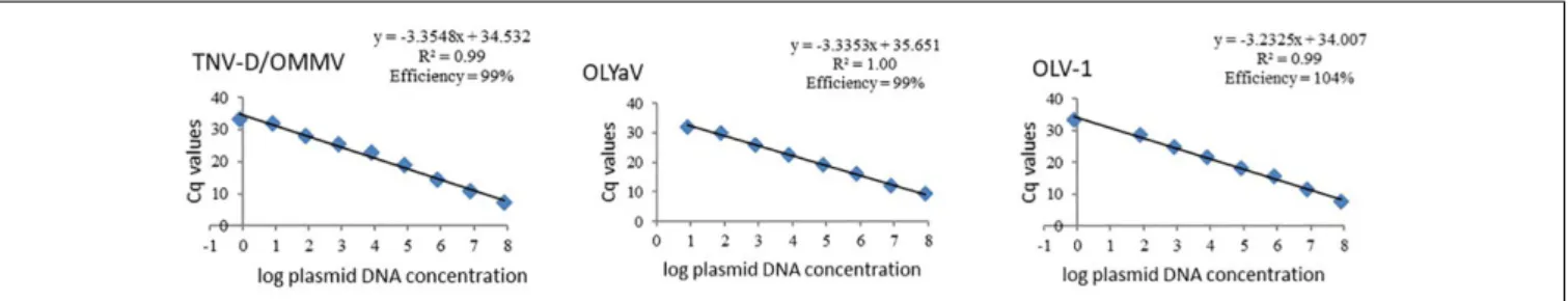 FIGURE 1 | Standard curves of olive viruses constructed based on Cq values obtained from a ten-fold dilution series of each target plasmid DNA in the dynamic range of 0.8 to 8E7 target copies