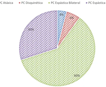 Gráfico 1 – Distribuição dos Subtipos de PC. 13