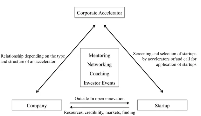 Figure 1: Relationship of Agents within an Accelerator Program (Bauer, 2016) 