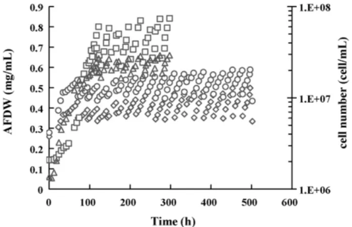 Fig. 3. Variation of growth rate with average light intensity (I av ) for various ini- ini-tial biomass concentrations ((  ) 0.341 mg L − 1 ; (  ) 0.592 mg L − 1 ) – as obtained from Eq
