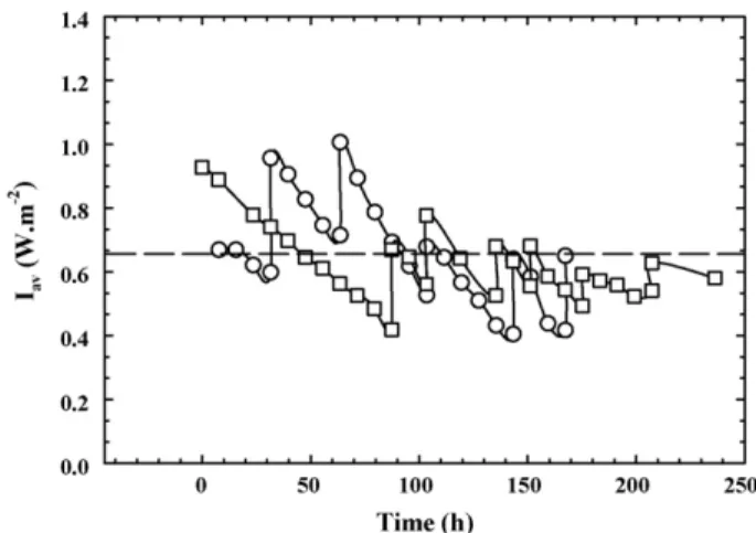 Fig. 5. Evolution of ash-free dry weight (AFDW) with time, under constant light intensity ((  ) 10 W m − 2 ; ( ♦ ) 25 W m − 2 ; (  ) 40 W m − 2 ) and light control (  ), in semicontinuous cultures.