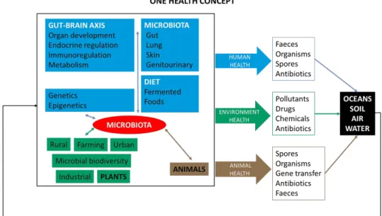 Figure  1.  A  general  picture of  the  One  Health  (Human-Animal-Environment)  concept  as a  trans- trans-disciplinary  effort