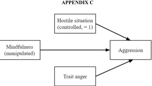 Figure C.1. Assumed Causal Model for Experiment. 