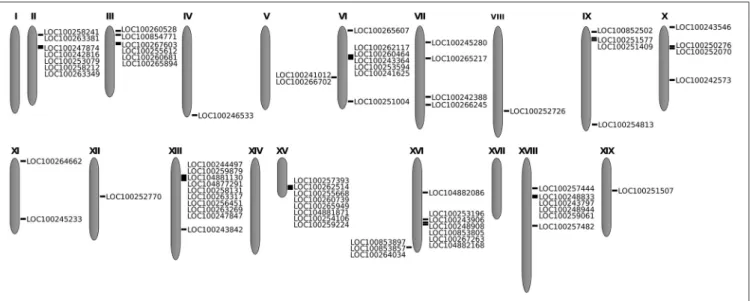 FIGURE 1 | Location of the 82 subtilase genes in the grapevine chromosomes. In each illustrated chromosome, subtilase gene accession is shown.