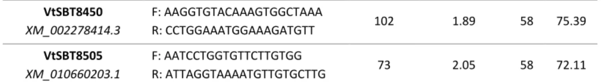 Table 3 – Primer sequences, amplicon length and annealing temperature for VtSBT7502 and VtSBT8505 subtilases