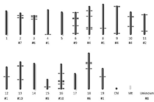 Figure 5 - Prediction of the subtilase genes’ location in the grapevine chromosomes. In each illustrated chromosome  the number of subtilase genes  detected (#number) is shown