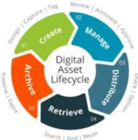 Figure 5.2 – Digital Asset Lifecycle 
