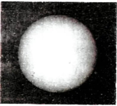 Figura 3.9 - Daguerreótipo do Sol realizado por Fizeau e Foucault. 