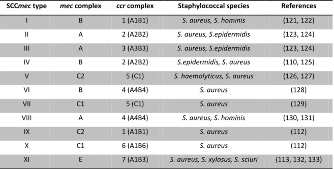 Table 3. Structure of each SCCmec type, as defined by the combination of the class of mec complex and the type of  ccr
