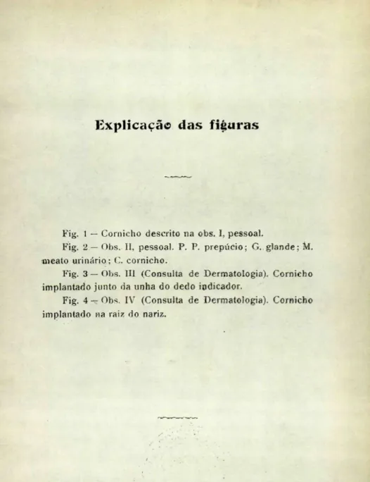 Fig. 1 — Comicho descrito na obs. I, pessoal. 