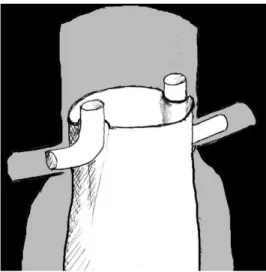Figure 1.4: Schematic drawing of the CG technique. 