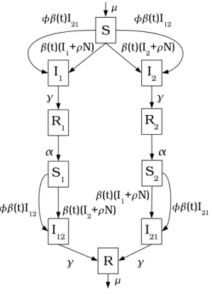 Figure 1.12: The state flow diagram for the seasonal multi-strain model.