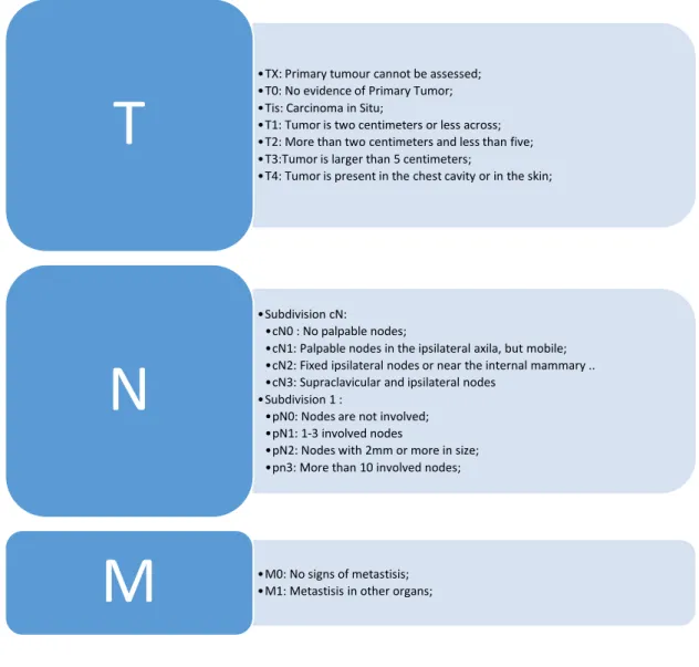 Table 1: TNM staging system based on the article “NCC. Stages I and II Breast  Cancer