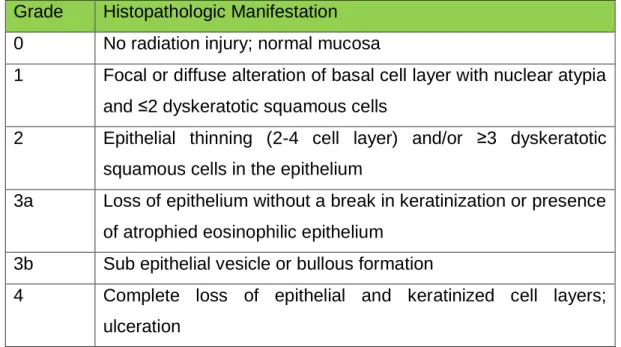 Table  5:  Histopathologic  Grading  Model  proposed  by  Sunavala-Dossabhoy  et  al  24   