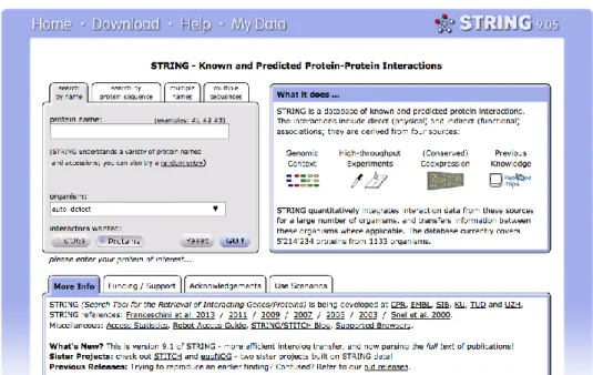 Figura 5 - Página de rosto da ferramenta bioinformática STRING, para estudos de interatómica 