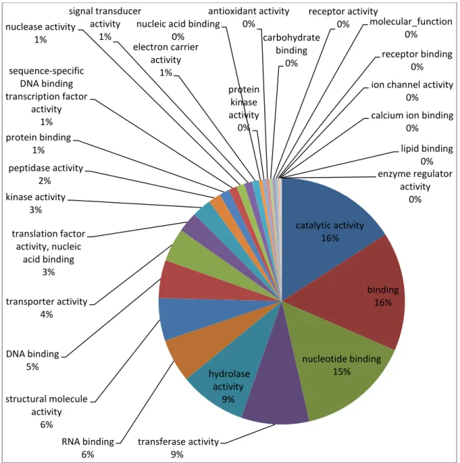Figura 12 - Representação da classificação ontológica das 1212 proteínas de origem  microbiana  presentes  no  OralOme  quanto  à  classe  Molecular  Function