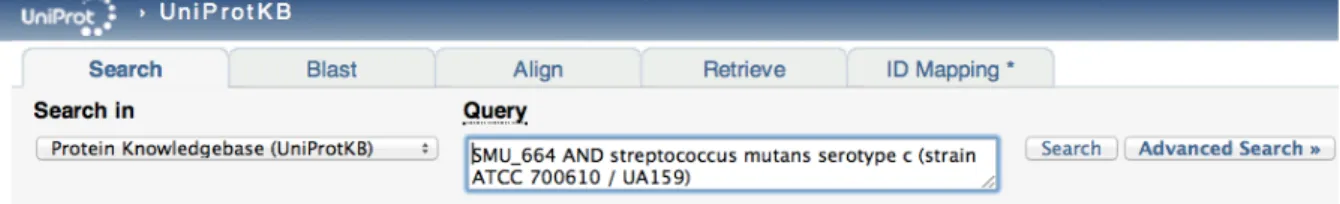 Figura  8.  Figura  obtida  do  portal  Web  da  ferramenta  bioinformática  UniProtKB  (http://www.uniprot.org)  representativa da conversão do nome do gene (SMU_664), relativo a uma proteína identificada de Streptococcus  mutans serotipo c (estirpe ATCC 
