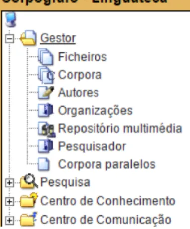 figure 3 : Options du gestionnaire (Version 4)